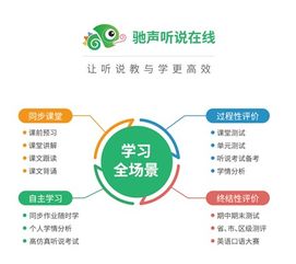 湖北宜昌考前大練兵，馳聲聽說在線助力初三英語模考