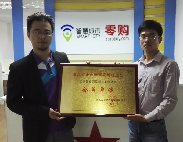 領動科技，引領互聯網未來——湖北網絡技術服務的創新與展望